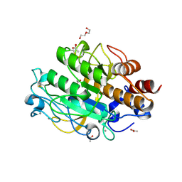 BU of 3lpc by Molmil