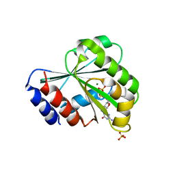 BU of 3lrp by Molmil