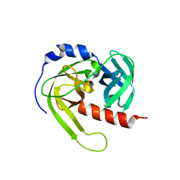 BU of 3lt3 by Molmil