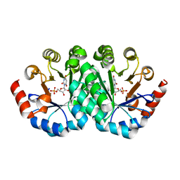 BU of 3ltp by Molmil