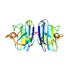 BU of 3ltv by Molmil