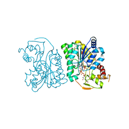 BU of 3lu1 by Molmil