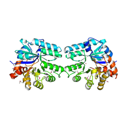 BU of 3lu2 by Molmil