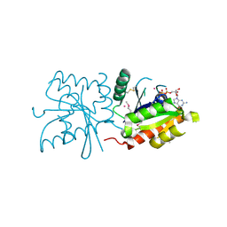 BU of 3lxx by Molmil