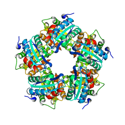 AU of 3m2q by Molmil