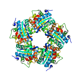 AU of 3m2s by Molmil