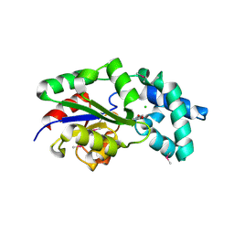 BU of 3mc1 by Molmil