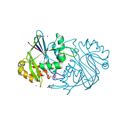 BU of 3md7 by Molmil