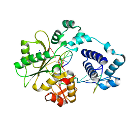 BU of 3mda by Molmil