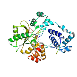 BU of 3mdc by Molmil