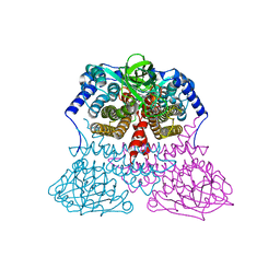 BU of 3mdd by Molmil