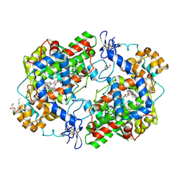 BU of 3mdl by Molmil