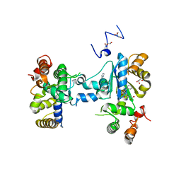 BU of 3mgc by Molmil