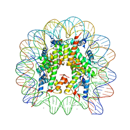 BU of 3mgs by Molmil