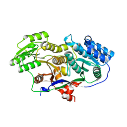 BU of 3mjc by Molmil