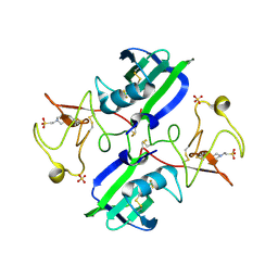 BU of 3mkp by Molmil