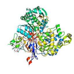 BU of 3ml1 by Molmil