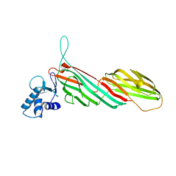 BU of 3ml6 by Molmil