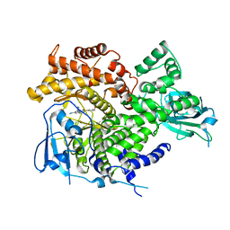 BU of 3ml8 by Molmil