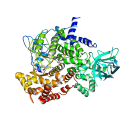 BU of 3ml9 by Molmil