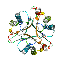 BU of 3mlc by Molmil