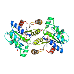 BU of 3mle by Molmil