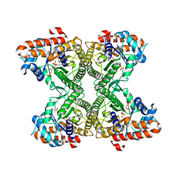 BU of 3mmt by Molmil