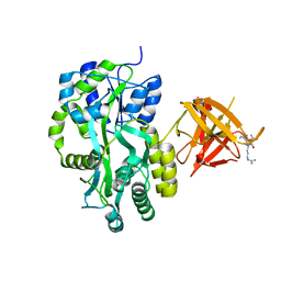 BU of 3mp6 by Molmil