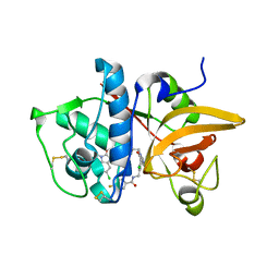 AU of 3mpe by Molmil