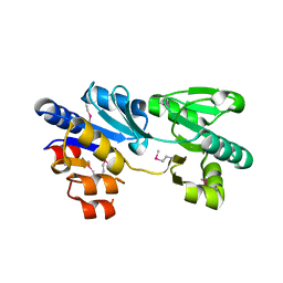 BU of 3mpo by Molmil