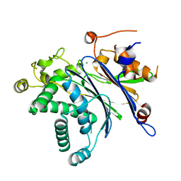 BU of 3mq3 by Molmil