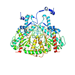 BU of 3mq6 by Molmil