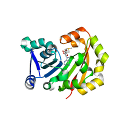 BU of 3mte by Molmil