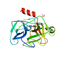 BU of 3mu5 by Molmil