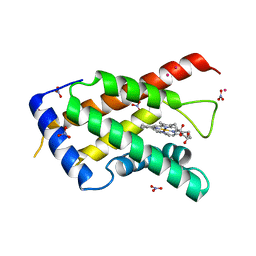 BU of 3mvc by Molmil