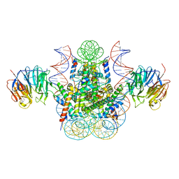 BU of 3mvd by Molmil