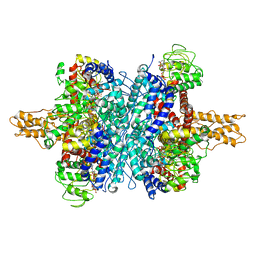 AU of 3mvo by Molmil