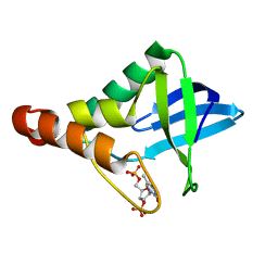 BU of 3mvv by Molmil