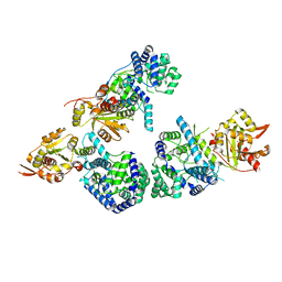 BU of 3mwt by Molmil