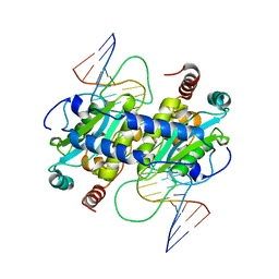 BU of 3mx4 by Molmil