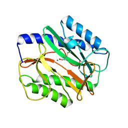 BU of 3mx6 by Molmil