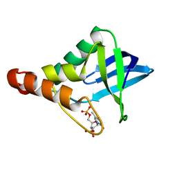 BU of 3mxp by Molmil