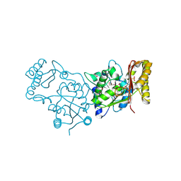 BU of 3mxt by Molmil