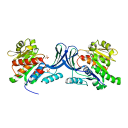 BU of 3nca by Molmil