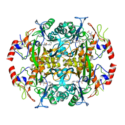 BU of 3ndv by Molmil