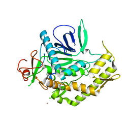 BU of 3nf3 by Molmil