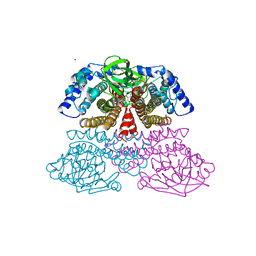 BU of 3nf4 by Molmil