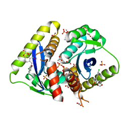 BU of 3nf9 by Molmil