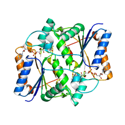 BU of 3nfr by Molmil