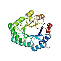 BU of 3ngf by Molmil